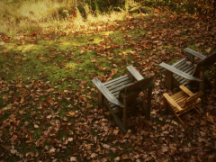 leaves-chairs