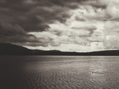 1_loon-faces-the-storm