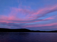 cotton-candy