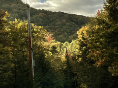 early-autumn-road