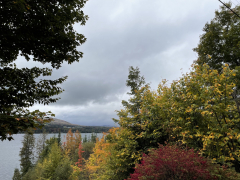 fall-colors-moot