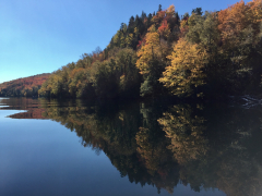 fall-shoreline