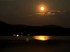 full-orange