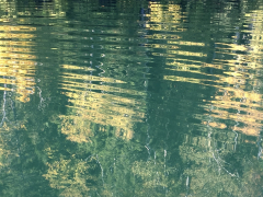 green-gold-water