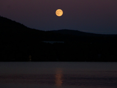 orange-moon
