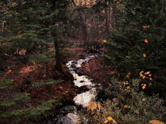 stream-to-the-lake