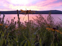 Sunrise 2014 August 21 by Candy Moot