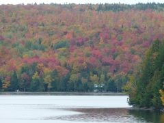 autumn beauty by Candy Moot.JPG