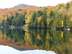 autumn by Candy Moot.JPG