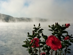 autumn morning mist by Candy Moot.JPG