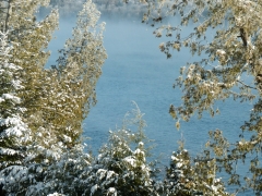 view from Elan hike in Nov. (Custom).JPG