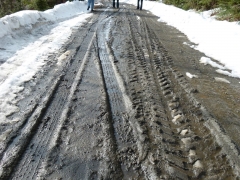 mud season walk on Easter (Custom).JPG