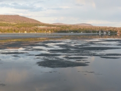 Still Some Ice by Candy Moot.jpg