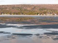 The Ice is Very Thin and Krinkles by Candy Moot.jpg