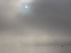 misty dawn