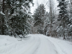 2013 December 19 015 (Custom).JPG