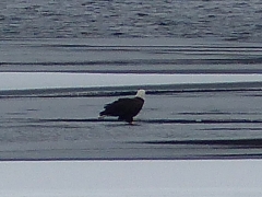 2014 December 23 002.JPG